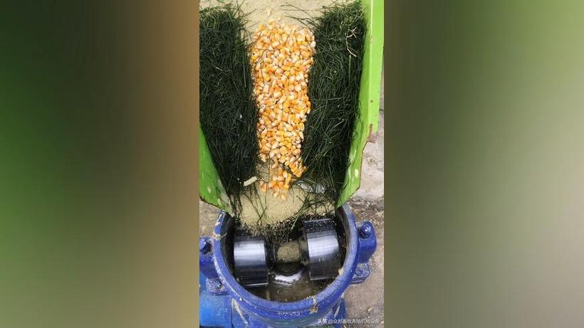 众邦畜牧养殖机械设备 现代养殖场的智能化引擎